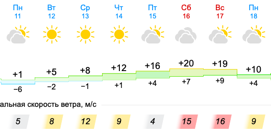 Фото Потепление до +20 придёт в Новосибирск на следующей неделе 2